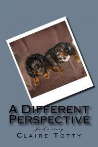 Download A Different Perspective pdf, epub, ebook