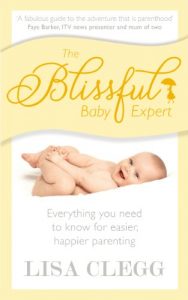 Download The Blissful Baby Expert pdf, epub, ebook