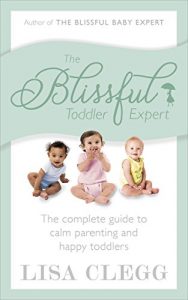 Download The Blissful Toddler Expert: The complete guide to calm parenting and happy toddlers pdf, epub, ebook