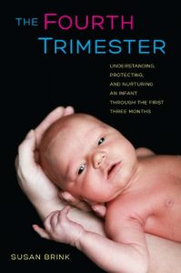 Download The Fourth Trimester: Understanding, Protecting, and Nurturing an Infant through the First Three Months pdf, epub, ebook