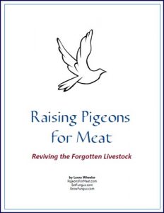 Download Raising Pigeons for Meat: Reviving the Forgotten Livestock pdf, epub, ebook