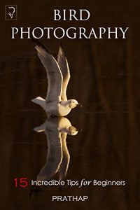 Download Bird Photography: 15 Incredible Tips for Beginners pdf, epub, ebook