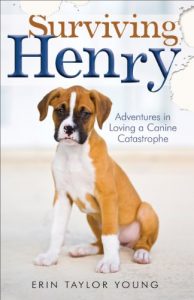 Download Surviving Henry: Adventures in Loving a Canine Catastrophe pdf, epub, ebook