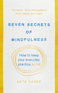 Download Seven Secrets of Mindfulness: How to keep your everyday practice alive pdf, epub, ebook