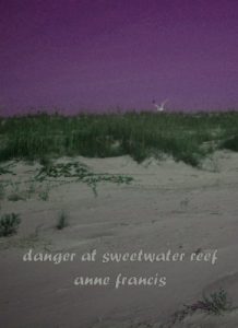 Download Danger at Sweetwater Reef (Sweetwater Trilogy Book 1) pdf, epub, ebook