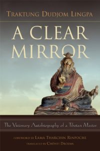 Download A Clear Mirror pdf, epub, ebook