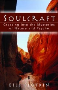 Download Soulcraft: Crossing into the Mysteries of Nature and Psyche pdf, epub, ebook