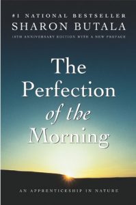 Download Perfection Of The Morning pdf, epub, ebook