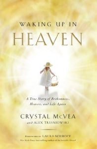 Download Waking Up In Heaven pdf, epub, ebook