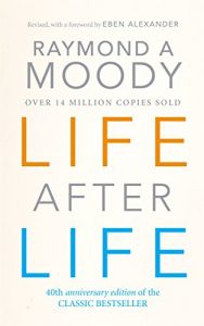 Download Life After Life pdf, epub, ebook