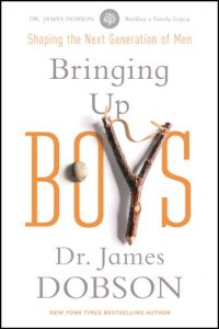 Download Bringing Up Boys pdf, epub, ebook
