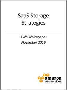 Download SaaS Storage Strategies (AWS Whitepaper) pdf, epub, ebook