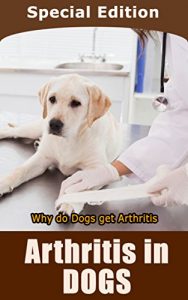 Download Arthritis in Dogs: Why do Dogs Get Arthritis pdf, epub, ebook