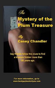 Download The Mystery of the Plum Treasure: A gay mystery and adventure. pdf, epub, ebook