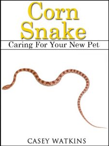 Download Corn Snake: Caring For Your New Pet (Reptile Care Guides) pdf, epub, ebook