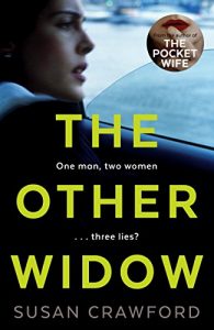 Download The Other Widow pdf, epub, ebook