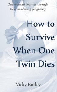 Download How to Survive When One Twin Dies pdf, epub, ebook