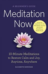 Download Meditation Now: A Beginner’s Guide: 10-Minute Meditations to Restore Calm and Joy Anytime, Anywhere pdf, epub, ebook