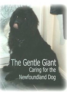 Download The Gentle Giant: Caring for the Newfoundland Dog pdf, epub, ebook