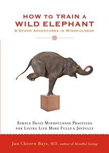 Download How to Train a Wild Elephant: And Other Adventures in Mindfulness pdf, epub, ebook