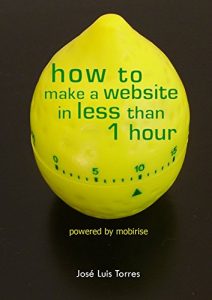 Download How to make a website in less than an hour pdf, epub, ebook