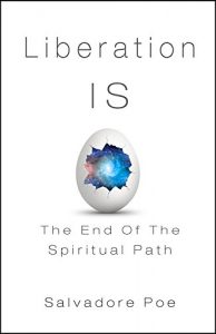 Download Liberation IS: The End of The Spiritual Path pdf, epub, ebook