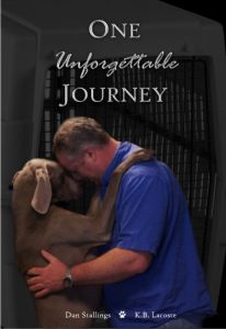 Download One Unforgettable Journey pdf, epub, ebook