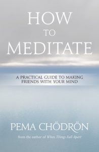 Download Meditation: How to Meditate: A Practical Guide to Making Friends with Your Mind pdf, epub, ebook