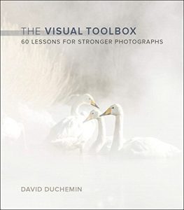 Download The Visual Toolbox: 60 Lessons for Stronger Photographs (Voices That Matter) pdf, epub, ebook