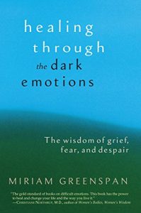 Download Healing through the Dark Emotions: The Wisdom of Grief, Fear, and Despair pdf, epub, ebook