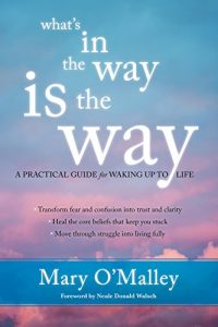 Download What’s in the Way Is the Way: A Practical Guide for Waking Up to Life pdf, epub, ebook