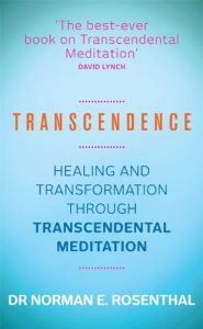 Download Transcendence pdf, epub, ebook