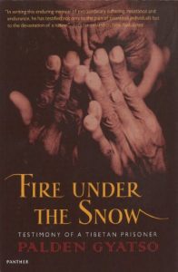 Download Fire Under The Snow: True Story of a Tibetan Monk (Panther) pdf, epub, ebook