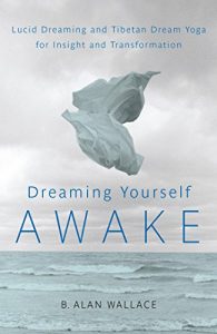 Download Dreaming Yourself Awake: Lucid Dreaming and Tibetan Dream Yoga for Insight and Transformation pdf, epub, ebook