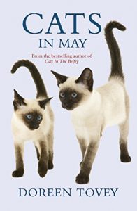 Download Cats in May pdf, epub, ebook