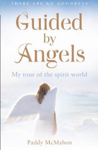 Download Guided By Angels: There Are No Goodbyes, My Tour of the Spirit World pdf, epub, ebook