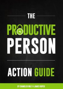 Download The Productive Person Action Guide: How to be more productive and maximize your work-life balance in 2 weeks pdf, epub, ebook