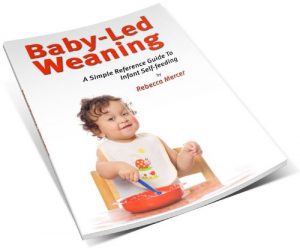 Download A Simple Reference Guide to Baby-led Weaning pdf, epub, ebook