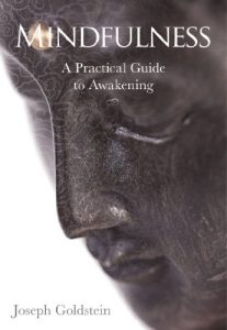 Download Mindfulness: A Practical Guide to Awakening pdf, epub, ebook