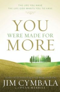 Download You Were Made for More: The Life You Have, the Life God Wants You to Have pdf, epub, ebook