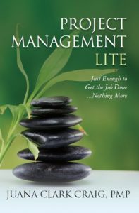 Download Project Management Lite: Just Enough to Get the Job Done…Nothing More pdf, epub, ebook