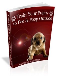 Download How To Train Your Puppy to Pee & Poop Outside: How To House Train Your New Puppy pdf, epub, ebook