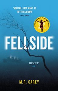 Download Fellside pdf, epub, ebook