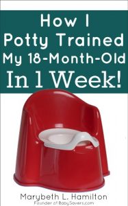 Download How I Potty Trained My 18-Month-Old In 1 Week pdf, epub, ebook