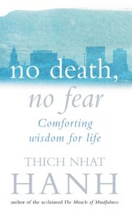 Download No Death, No Fear: Comforting Wisdom for Life pdf, epub, ebook