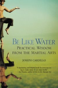 Download Be Like Water: Practical Wisdom from the Martial Arts pdf, epub, ebook