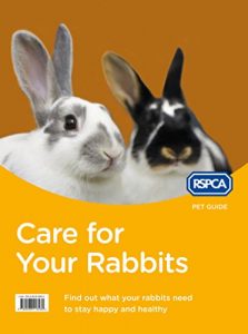 Download Care for Your Rabbits (RSPCA Pet Guide) pdf, epub, ebook