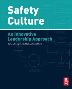 Download Safety Culture: An Innovative Leadership Approach pdf, epub, ebook