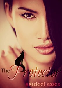 Download The Protector pdf, epub, ebook