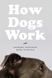 Download How Dogs Work pdf, epub, ebook